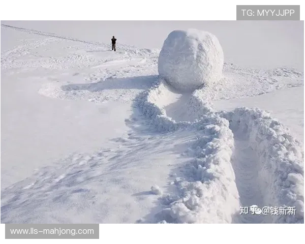 WNBA实施包机政策后亏损额猛增,2024年亏损超5000万美元 WNBA实施包机政策后亏损额猛增,2024年亏损超5000万美元